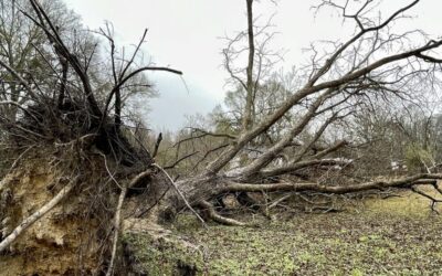 TORNADO SPINS OFF TUESDAY’S STORM SYSTEM NEAR NICHOLLS, CUTS PATH OF DESTRUCTION INTO BACON COUNTY
