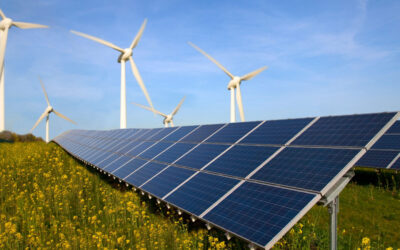 GREEN GRIFT: Renewable Energy’s Inefficiencies, Subsidies for Rich